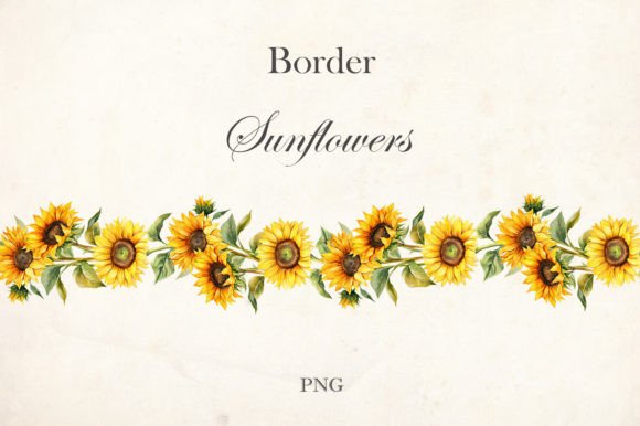 Download Watercolor Sunflowers Border - Flower Collection